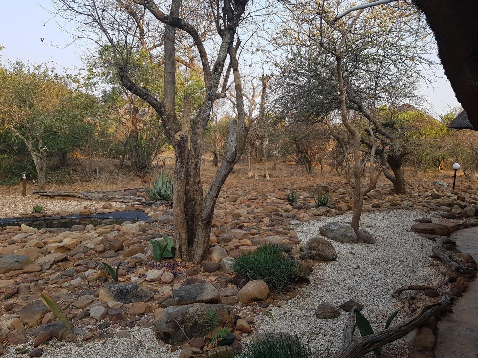 Bona Intaba Game Lodge Hoedspruit Buitenkant foto