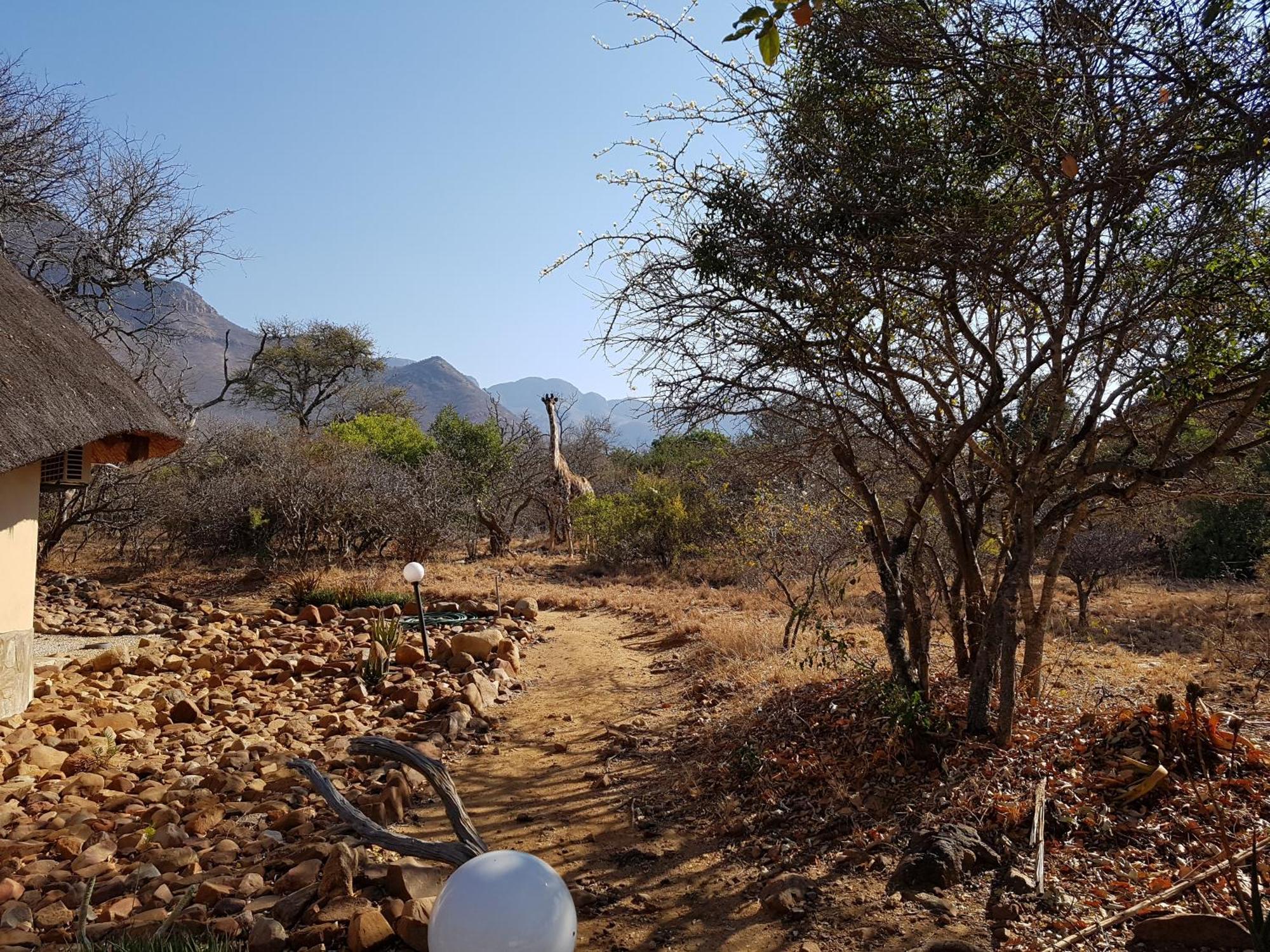 Bona Intaba Game Lodge Hoedspruit Buitenkant foto